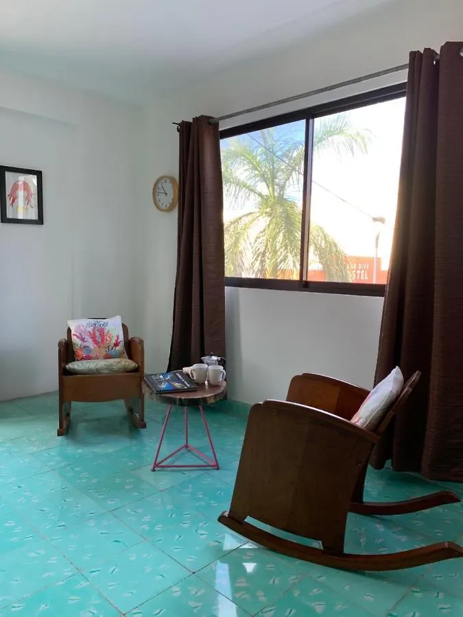 Coco 2 Spacious Apartment Downtown With Garden Cozumel