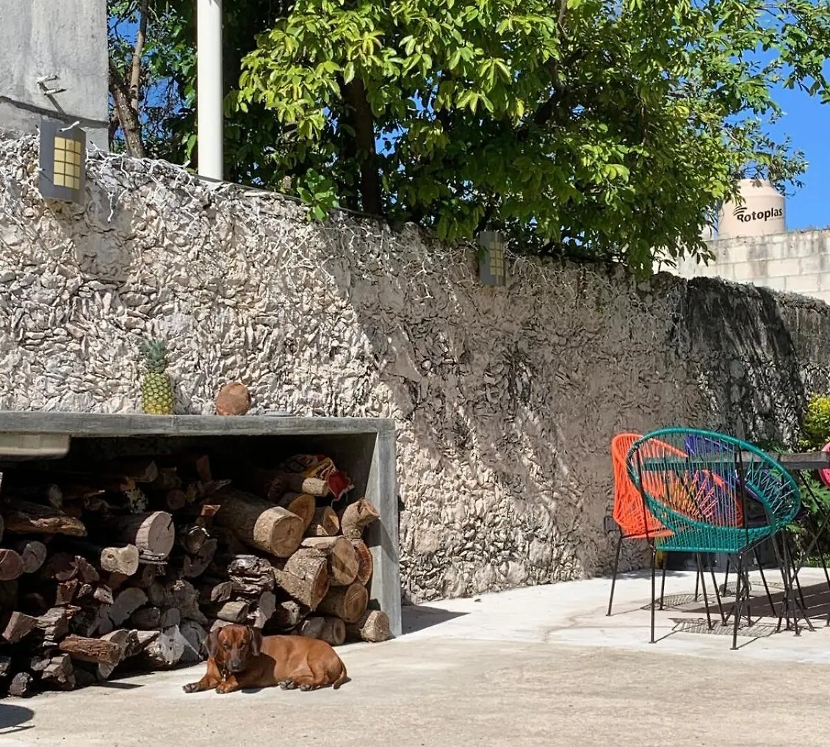 Coco 2 Spacious Apartment Downtown With Garden Cozumel